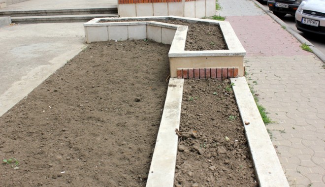 Constănțenii, la un pas să rămână fără panseluțe, mici de 1 Mai  și imn pentru Mamaia - constanteniilaunlassaramanafarap-1397748587.jpg
