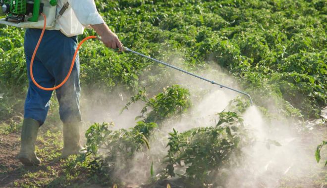 Consumul  de pesticide din agricultura mondială este  în creștere - consumuldepesticidedinagricultur-1603992300.jpg