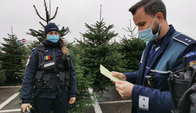 VIDEO. Controale la comercianţii de brazi de Crăciun, în Constanţa - controale-1607852036.jpg