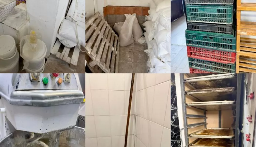 Controale în unitățile de fabricare a pâinii din Constanța. Ce nereguli au fost descoperite - controale-1769605966.webp