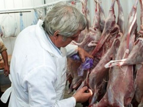 DSV. Ce au găsit inspectorii în piețe, de Paște - control-1493047753.jpg