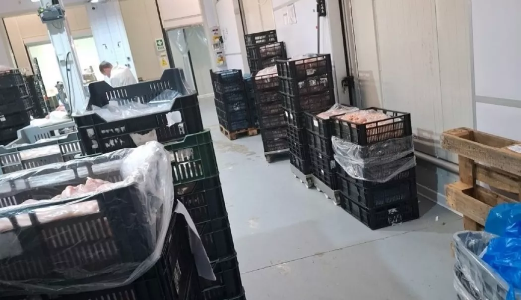 Control de amploare la o firmă din industria cărnii. Activitate oprită și amenzi de zeci de mii de lei - control-1777966116.webp
