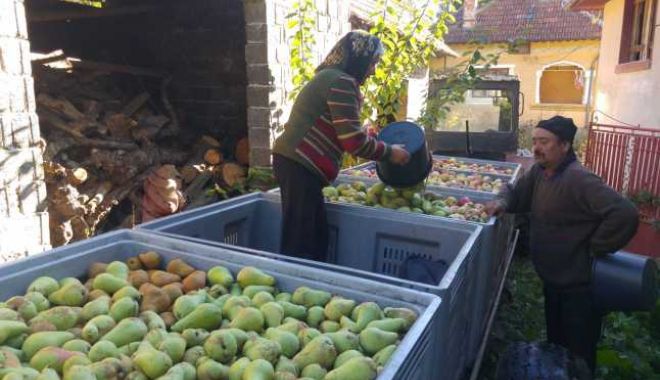 Cooperativa agricolă va fi resuscitată - cooperativaagricola-1605889049.jpg