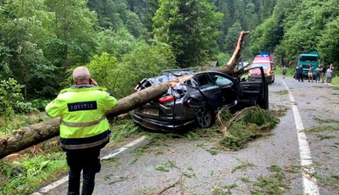 Tragedie pe Transalpina. O femeie a murit după ce un copac a căzut peste un autoturism
