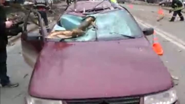 Mașină făcută praf, după ce un copac a căzut peste ea. Două victime - copac13965400-1487923431.jpg