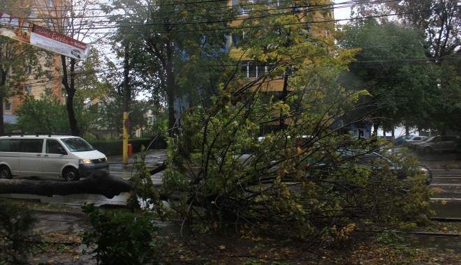 ANM. Codul galben de vijelie, prelungit până în această seară, la ora 20,00 - copaccazutbulevardulferdinand4-1380714475.jpg