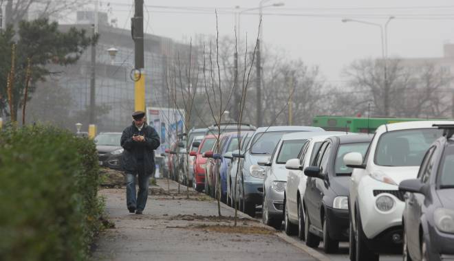 Cum va fi vremea duminică, la Constanța - copacibulevardulmarinarilor9-1426410931.jpg