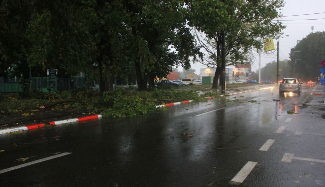 Galerie foto. Iată ce ravagii face furtuna în municipiul Constanța - copacicazuti1-1380617312.jpg