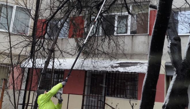 Copaci căzuți la Constanța! Se intervine în mai multe zone ale municipiului - copacicazuti2-1516268362.jpg