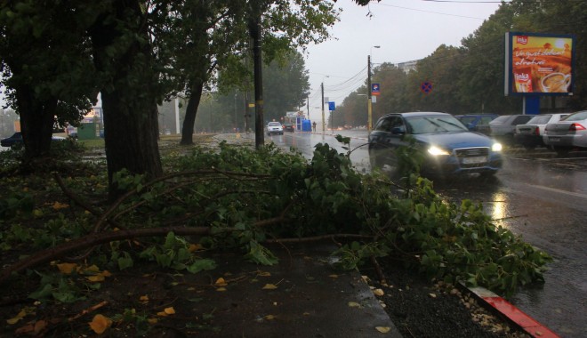 ENEL. Încă se lucrează la remedierea deranjamentelor cauzate de vântul puternic - copacicazuti21380617318-1380785806.jpg