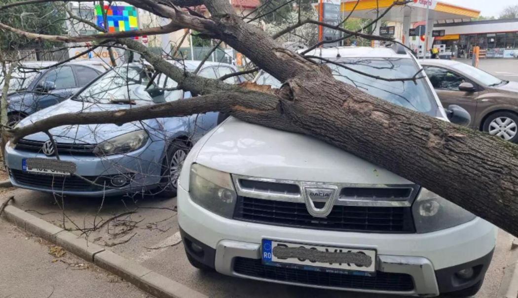 Pompierii constănțeni intervin pe Aleea Stânjeneilor, unde un copac a căzut peste o mașină - copacicazuti53a73a80a41735198116-1757671684.jpg