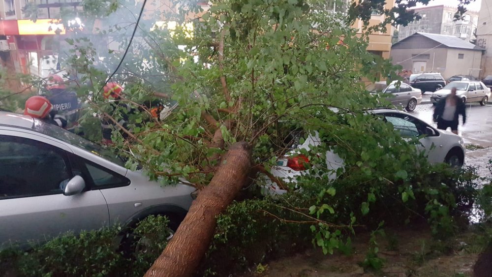 Vântul face ravagii! Mai multe mașini au fost strivite de copacii doborâți