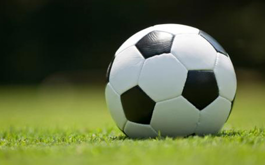 Fotbal: Chile a învins Ecuador, în meciul de deschidere a turneului Copa America 2015 - copafotbal-1434095265.jpg