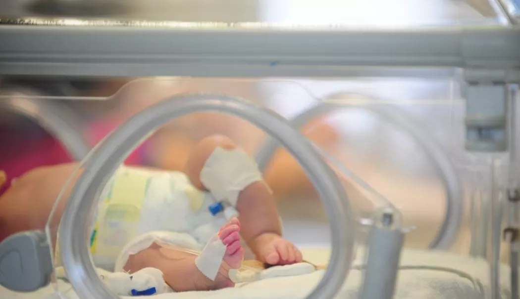 De necrezut! Doi bebeluși au fost găsiți într-un congelator. Iată ce spune mama lor - copii-1770994917.webp