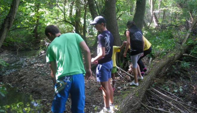 Elevii, cot la cot  cu voluntarii, plantează copaci - copiiiplanteaza-1429634083.jpg