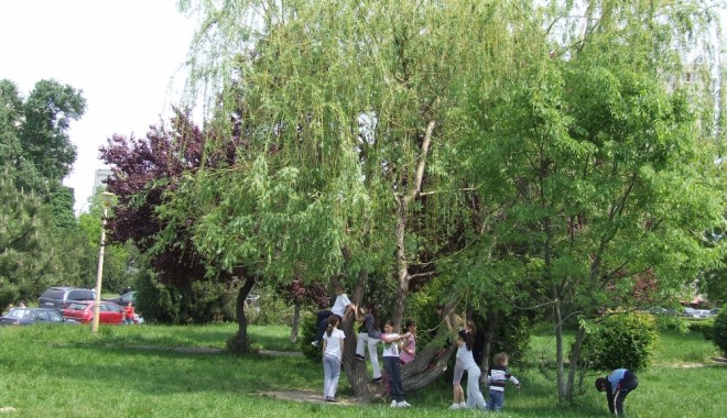 Cum va fi vremea duminică, pe litoral - copiiparcincopaci21347521900-1347784118.jpg