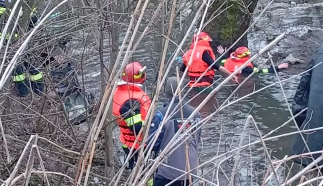 Fratele copiilor înecați în pârâul din Chirpăr, preluat de urgență în plasament pentru protecția sa - copil-1770390984.webp