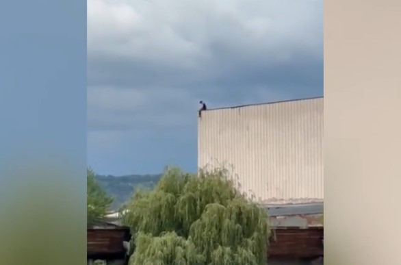 Foto - Un pas de tragedie. Adolescent de 14 ani, coborât de polițiști de pe acoperiș