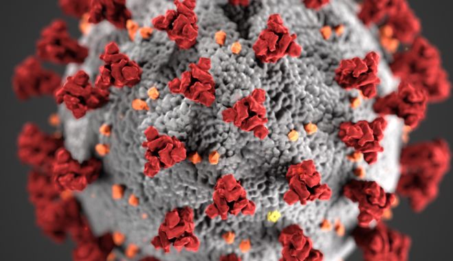 Coronavirus: Situație actualizată la nivelul județului Constanța. 504 persoane sunt internate - coronavirus-1636478254.jpg