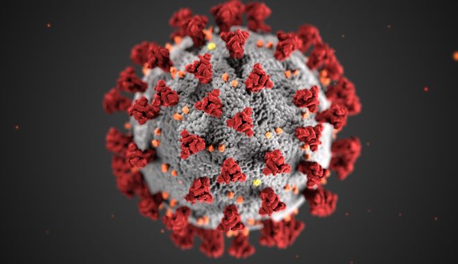 Trei cazuri de Covid în ultimele 24 de ore, la Constanţa - coronavirus3dillustrationbycdc16-1627211647.jpg