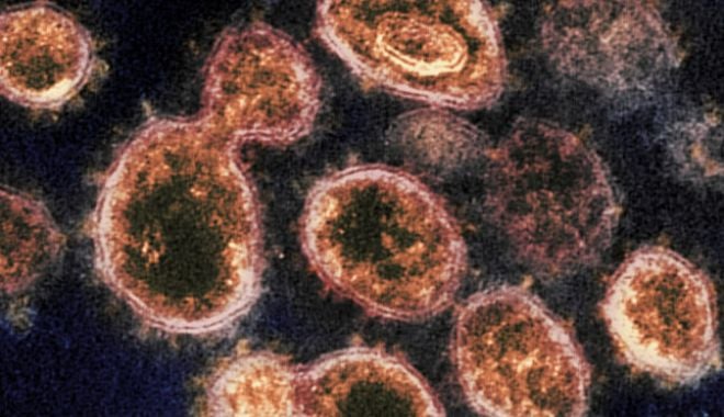 Studiu: Varianta Delta dublează riscul de spitalizare. Persoanele nevaccinate sunt principalele afectate - covid-1630144184.jpg
