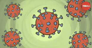 Coronavirus: Situație actualizată la nivelul județului Constanța.188 de persoane internate - covid3-1631470553.jpg