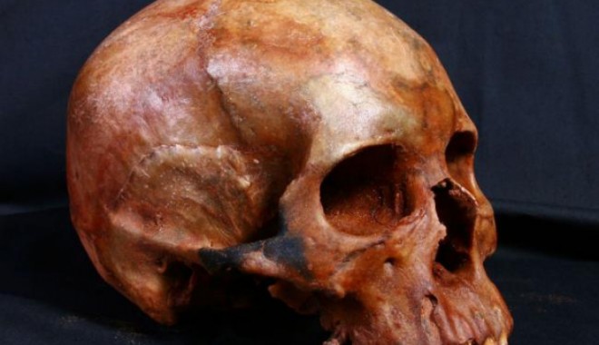 Cranii de om, împachetate în hârtie de cadouri, aruncate prin tot orașul - cr-1362831707.jpg