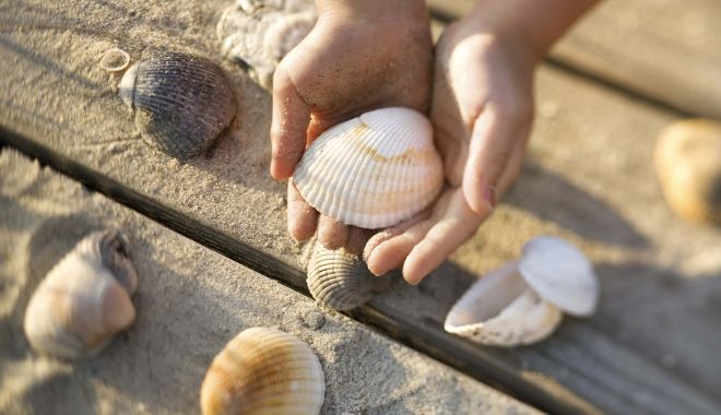 Creații cu tematică marină, la târgul 