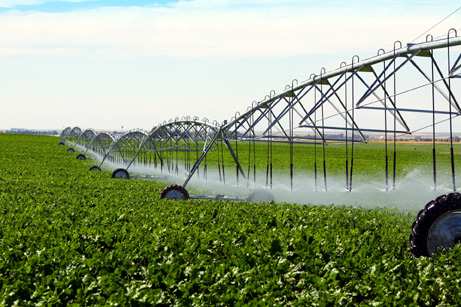 Crește suprafața agricolă irigată - crestesuprafatairigatii-1392650899.jpg