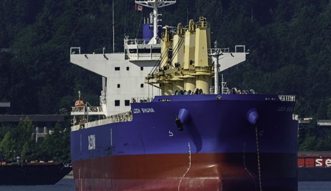 Crimă la bordul unui bulk-carrier, în Oceanul Indian - crimalabordulunuibulkcarrierinoc-1638099374.jpg