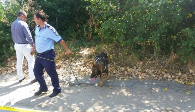 SOȚIA UNUI MILITAR, UCISĂ și ASCUNSĂ ÎN TUFIȘ. CRIMINALUL, ÎNCĂ ÎN LIBERTATE - crimaploiesti288578800-1470380826.jpg