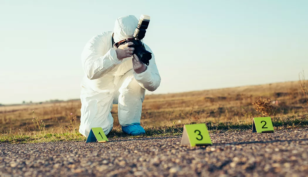 Foto - L-a ucis cu propriul ciomag și i-a ascuns cadavrul în stuf. Sentință definitivă după o anchetă complicată