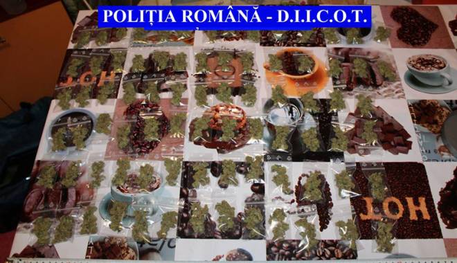 Bătălia cu drogurile. Capturi impresionate ale polițiștilor - criminalitate-1452439955.jpg