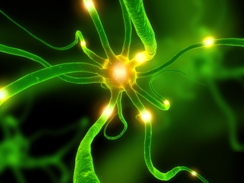 Ziua Mondială a Epilepsiei, marcată pentru prima dată și în România - crisedepilepsieneuronedecharge-1332745857.jpg