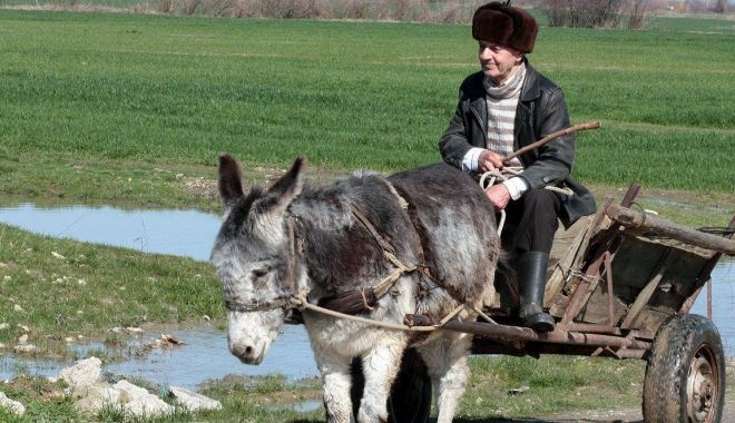 Cu butoaiele în vamă - cubutoaieleinvama2-1643983583.jpg