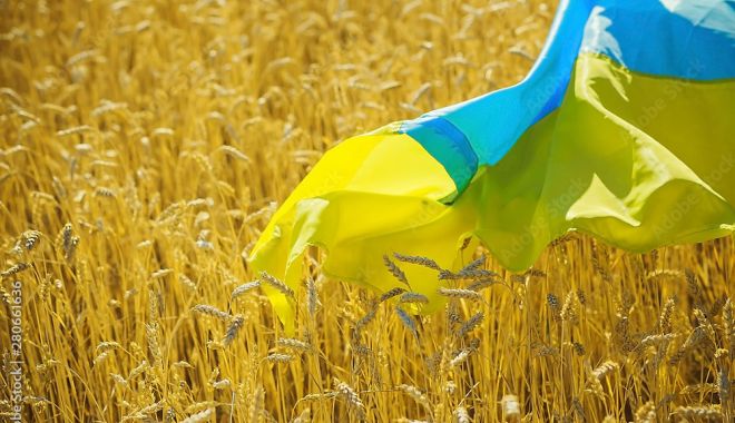 Culoare de solidaritate pentru a ajuta Ucraina să exporte produse agricole - culoaredesolidaritatepentruaajut-1652451642.jpg