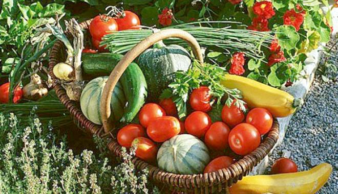 Cum a evoluat producția agricolă în 2014 - cumaevoluat-1427995645.jpg