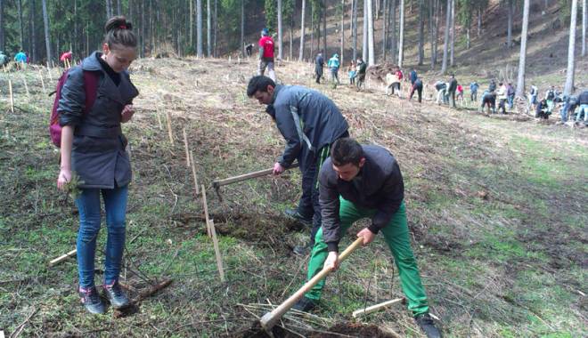 Perdea de copaci lângă rezervația Fântânița - cumausarbatorit-1429718841.jpg