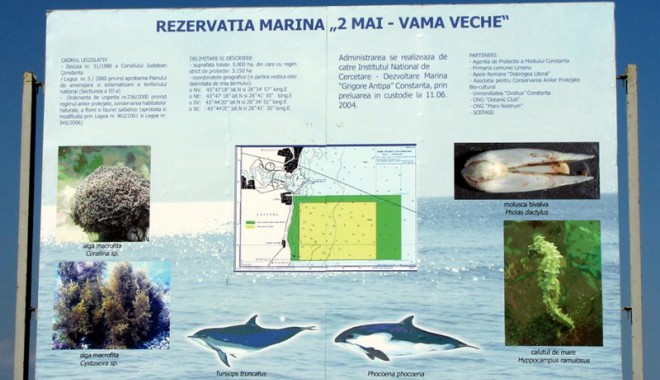 Cum este protejată Rezervația Marină Vama Veche - 2 Mai - cumesteprotejata-1407263189.jpg