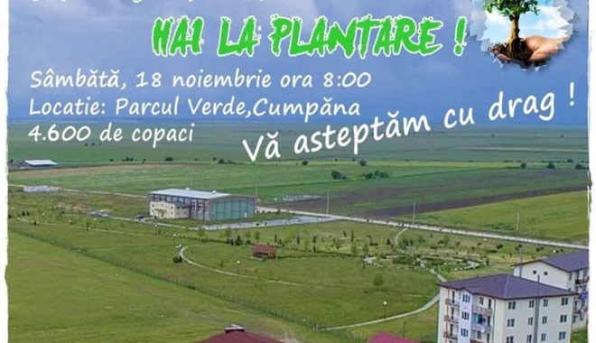 Acțiune de plantare, inițiată de Primăria Cumpăna - cumpana-1510940917.jpg