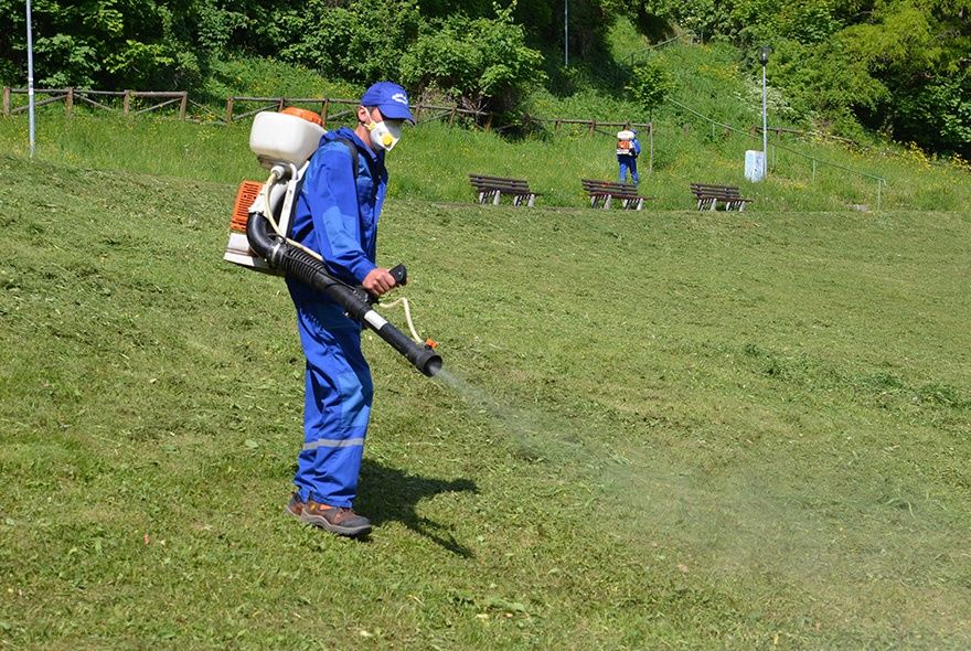 Primăria Cumpăna a demarat o acţiune de dezinsecţie în localitate - cumpana-dezinsectie-1725379992.jpg