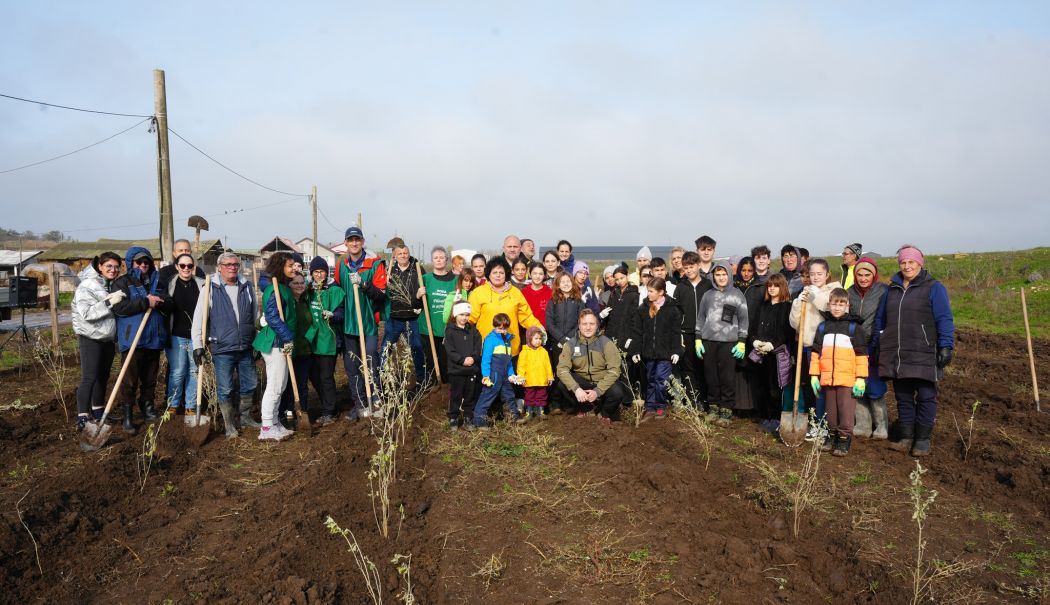Plantează în România. Comuna Cumpăna continuă tradiția ecologică