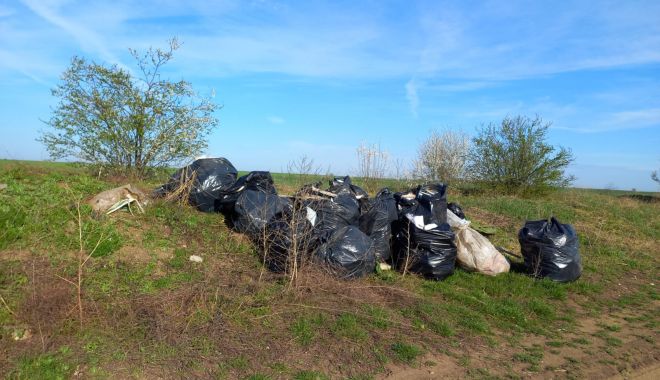 Administraţia locală din Cumpăna a strâns gunoaiele aflate la marginea comunei - cumpanaridicaregunoi-1649784172.jpg