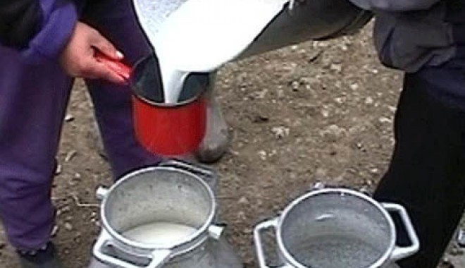 Cum pot fi protejați micii producători de alimente de agresivitatea supermarket-urilor? - cumpotfiprotejati-1406568967.jpg
