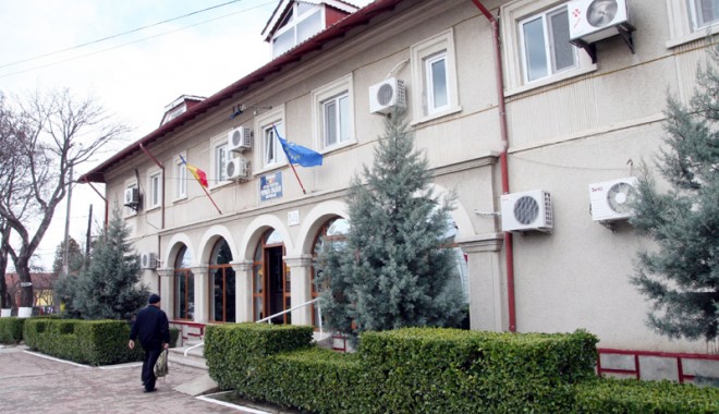 Cum promite Primăria Năvodari să rezolve problema câinilor maidanezi - cumpromiteprimarianavodari-1390314581.jpg