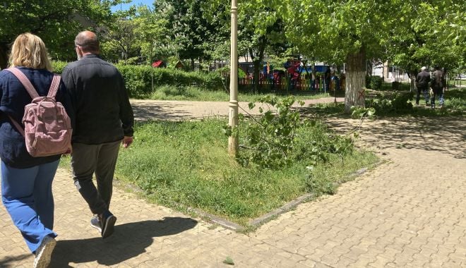 Cum puteţi sesiza Primăria Constanţa să ridice deşeurile vegetale - cumputetisesiza-1621537371.jpg