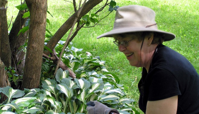 Cum să ții insectele departe de plantele din casă - cumsatiiinsecteledeparte-1371653792.jpg