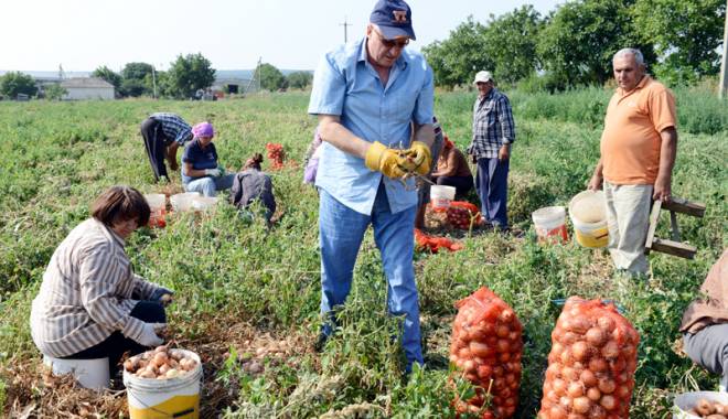 Cum se face  noua cooperativizare  a agriculturii - cumsefacenouacooperativizare-1441993245.jpg