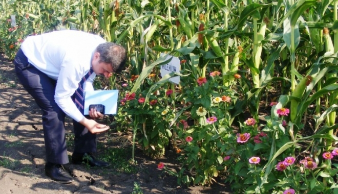 Cum va fi reorganizată cercetarea agricolă - cumvafireorganizatacercetarea-1470666017.jpg