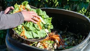 Cum vrea Europa să reducă risipa alimentară - cumvreaeuropasareducariusipaalim-1494952584.jpg